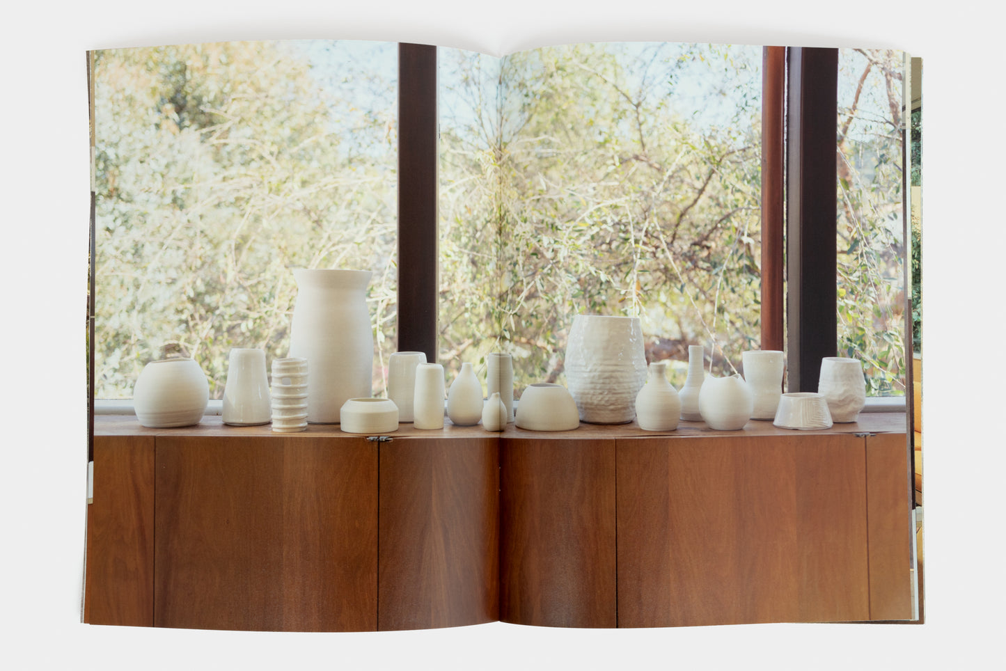 Shio Kusaka: Neutra VDL