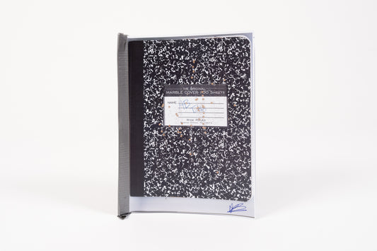 Alvaro Barrington: 91–98 jfk–lax border (Color Edition)