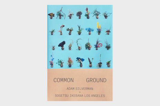 Adam Silverman: Common Ground
