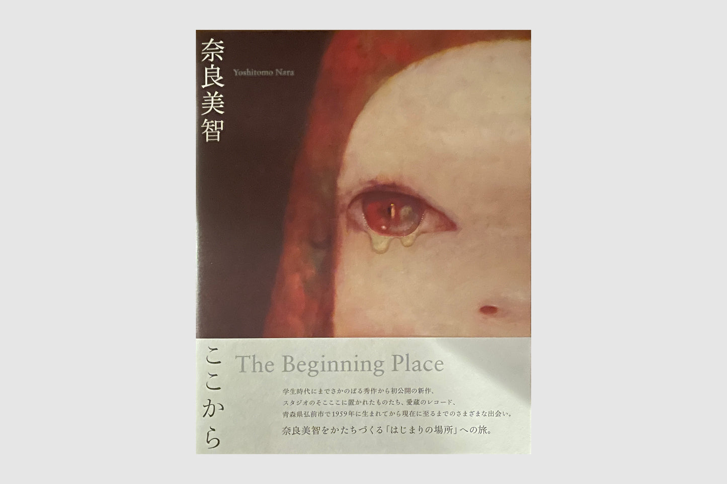 Yoshitomo Nara: The Beginning Place